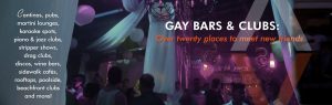 puerto vallarta gay bars and clubs