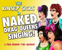 drag shows in puerto vallarta kinsey sicks