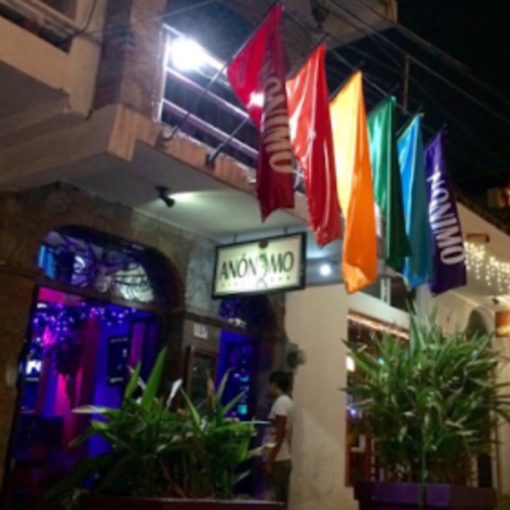 puerto vallarta gay bars