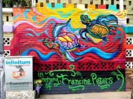 puerto vallarta street art francine peters