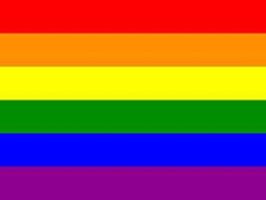 gay flag 6 stripes