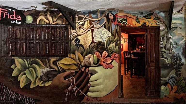 bar frida 02 768x432