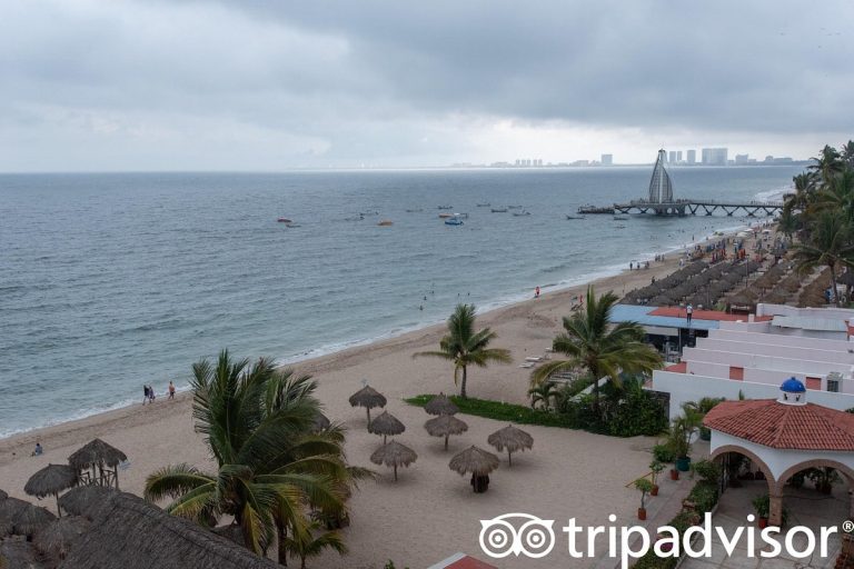 beach v18513872 768x512