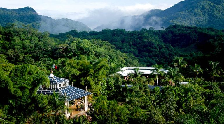 botanical gardens puerto vallarta 768x427