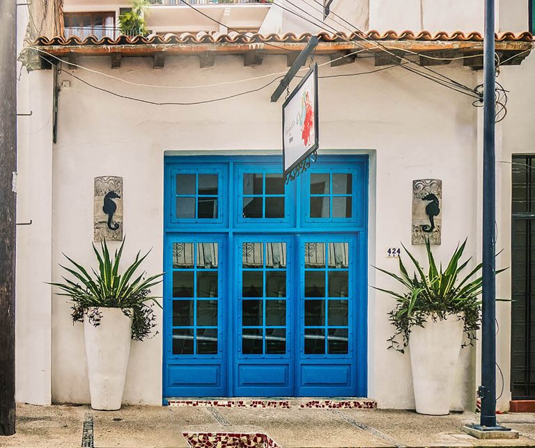 cabalito de mar banner 768x644