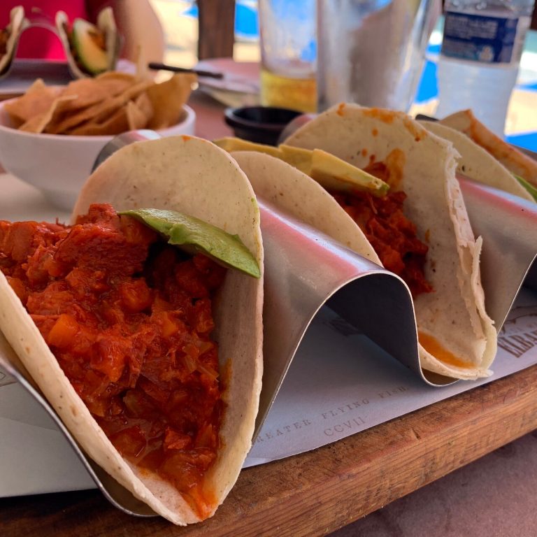 elbarracuda 01 768x768