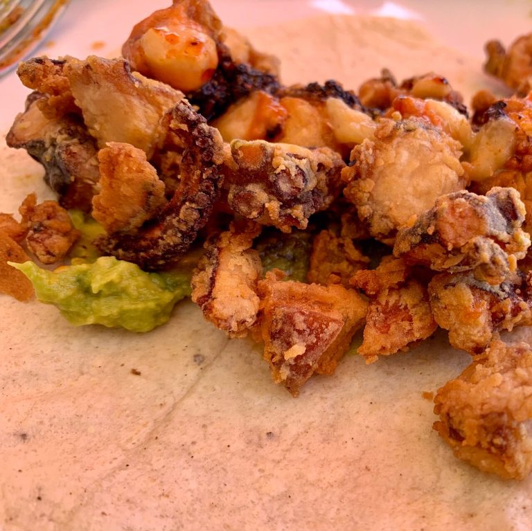 elbarracuda 02 768x767