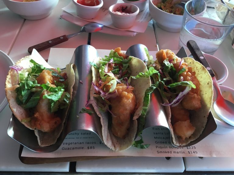 elbarracuda 04 768x576