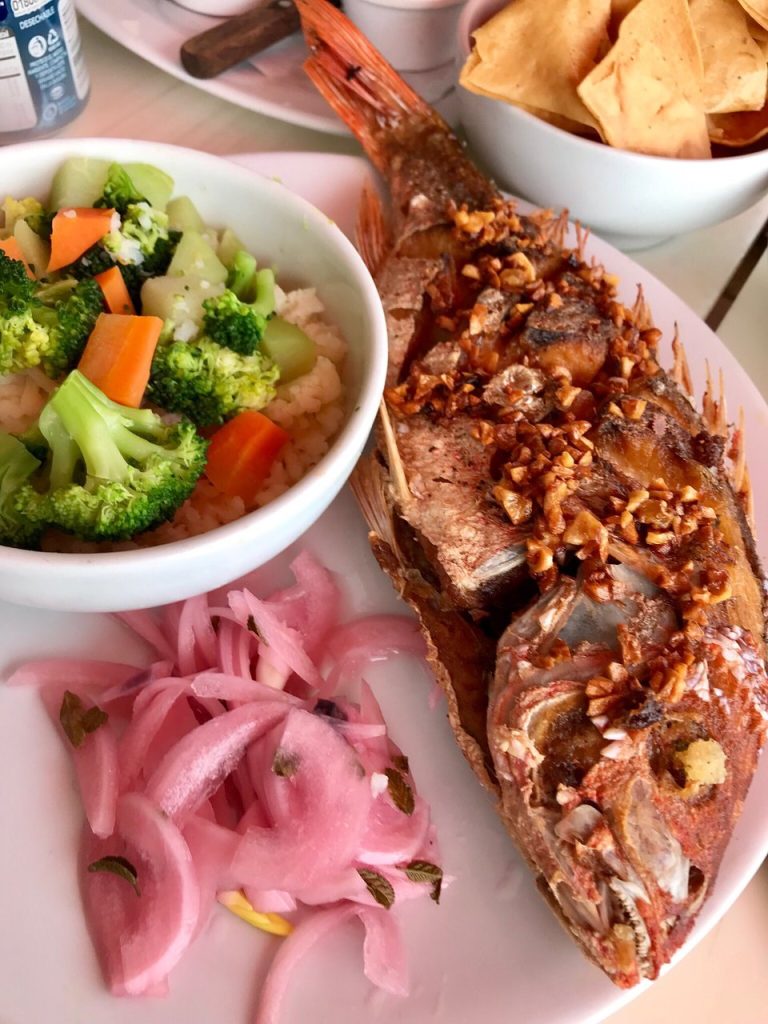 elbarracuda 05 768x1024