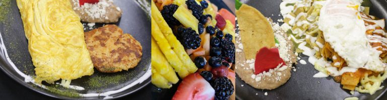 freddys tucan banner 768x199