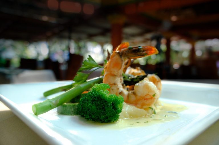 g 15 1024x681 1 768x511