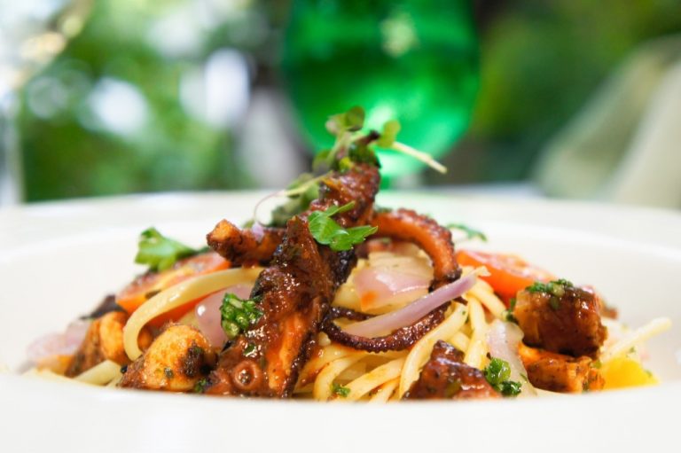 gal pulpo2 1024x681 1 768x511