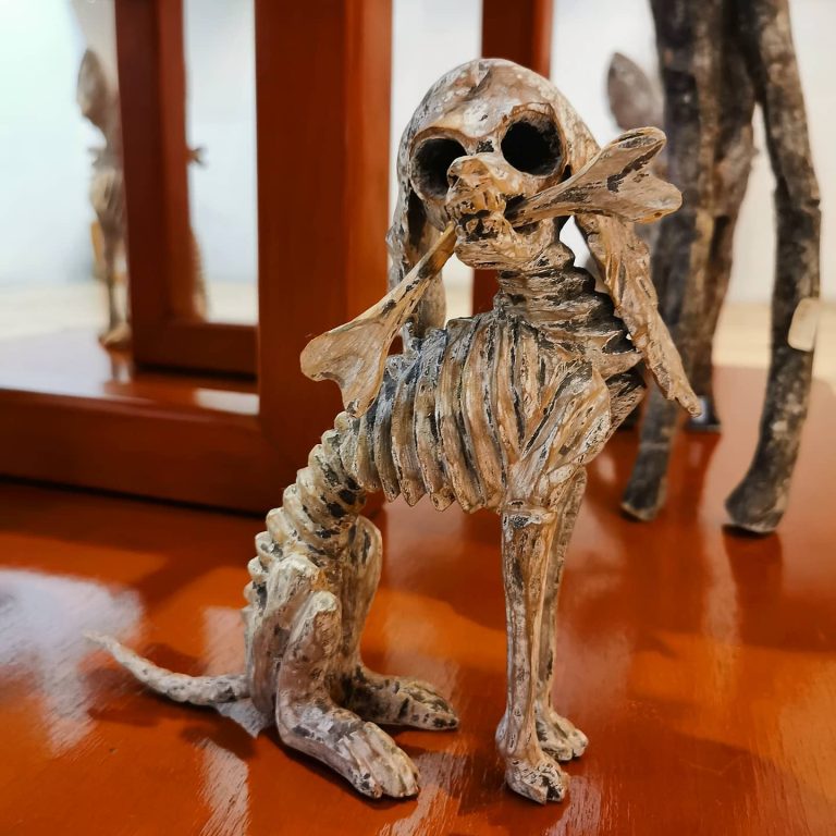 galeria colectika 05 768x768