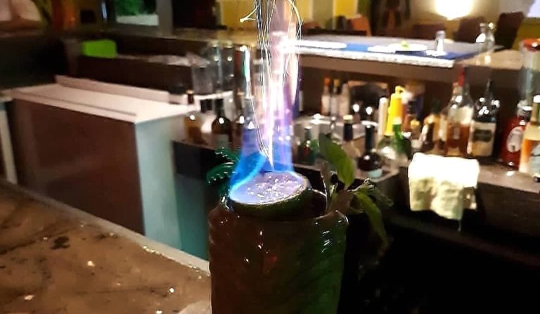 twisted palms banner 2000px 768x447