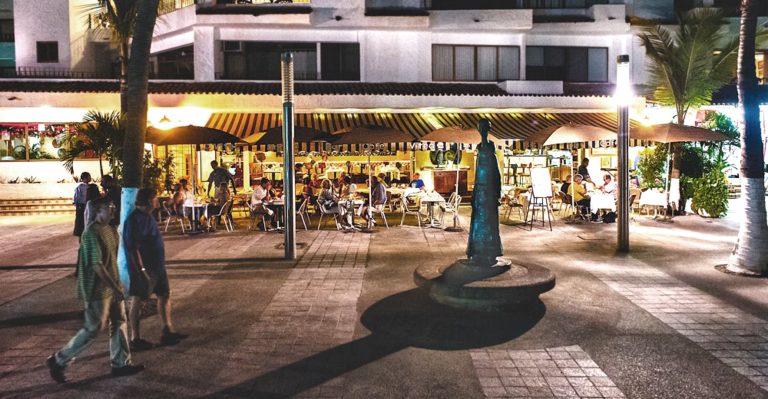 vitea banner 2000px 1 768x399