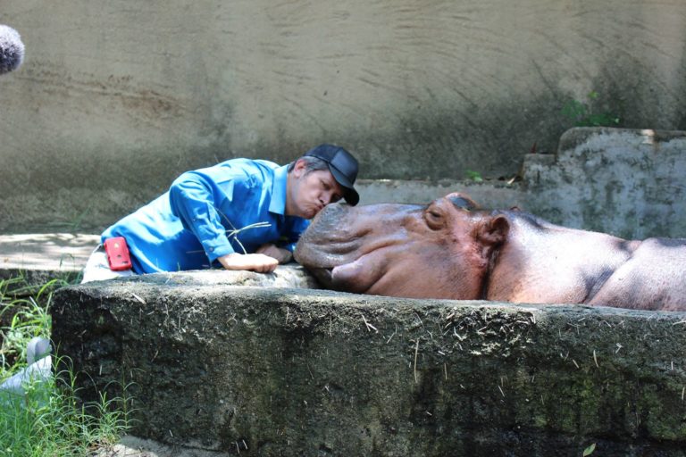 Zoologico de Vallarta 11 768x512