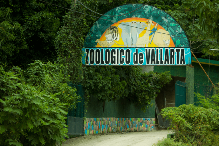 Zoologico de Vallarta 2 768x512