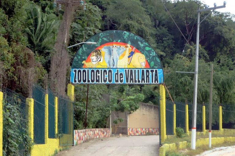 Zoologico de Vallarta 8 768x512