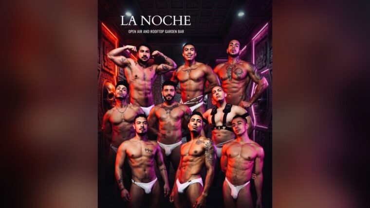 La Noche PV Go Go Boys