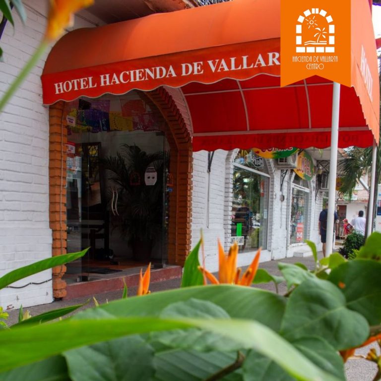 hacienda de vallarta 05 768x768