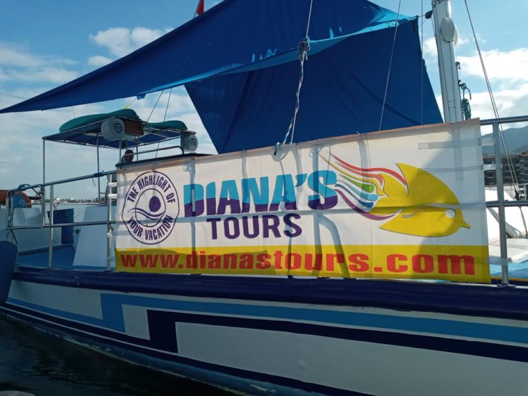 dianas tours 9 768x576