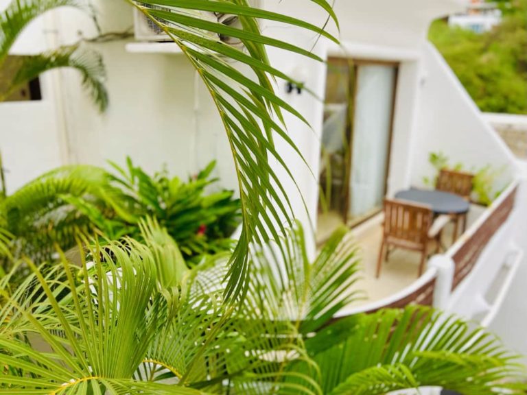 hotel amaca alberca 19 768x576