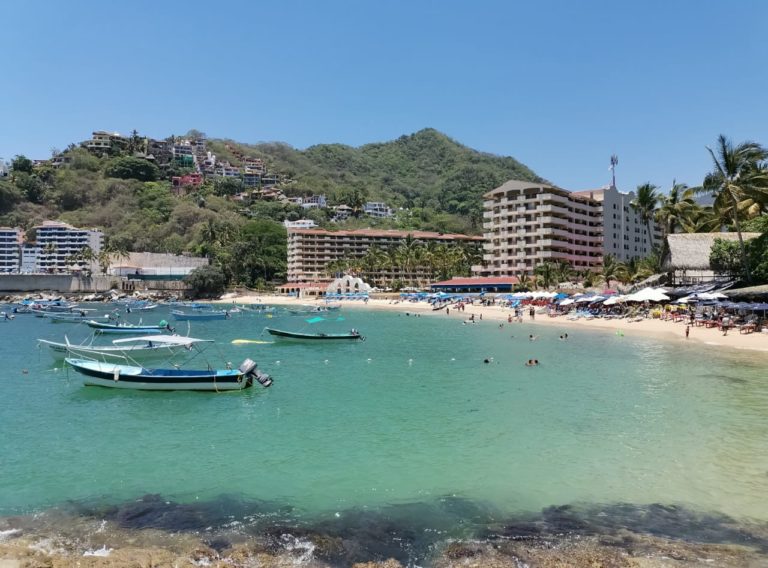 pv shuttles 3 768x568