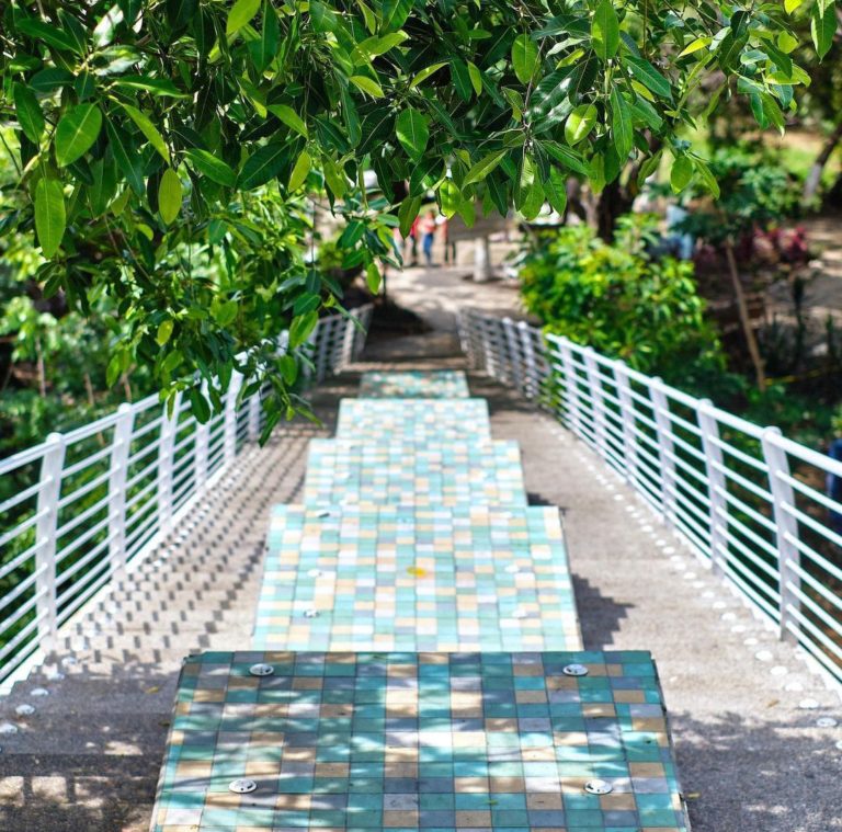 friends of rio cuale 2 1 768x759