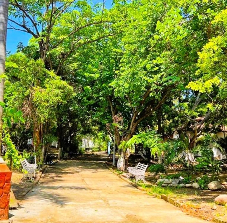 friends of rio cuale 4 1 768x754