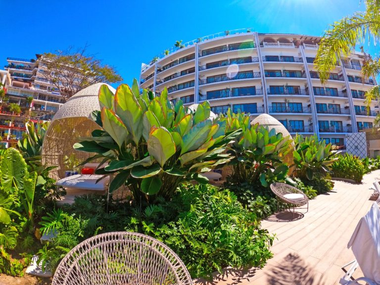 eden pool garden 6 768x576