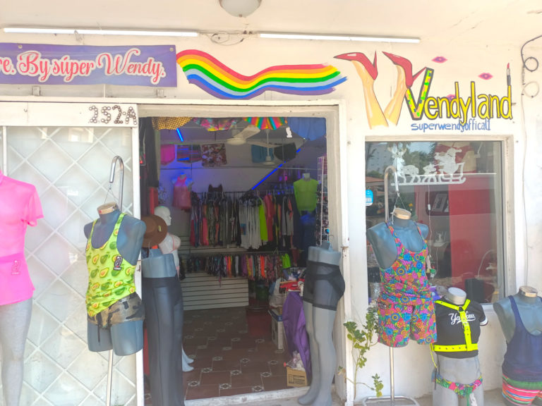 wendyland 5 WEB 768x576