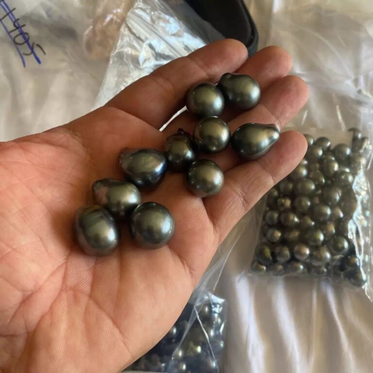 337010561 119037334447150 4394600979145663440 n 768x768