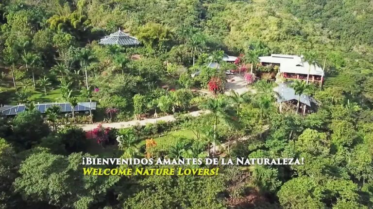 30171173 1681865761896276 5379644937161470732 o 768x432