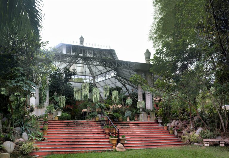 48360208 10156616023216346 5109839883313086464 n 768x530