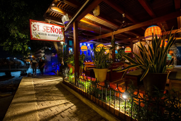 Si Se inor 180 websize 768x512