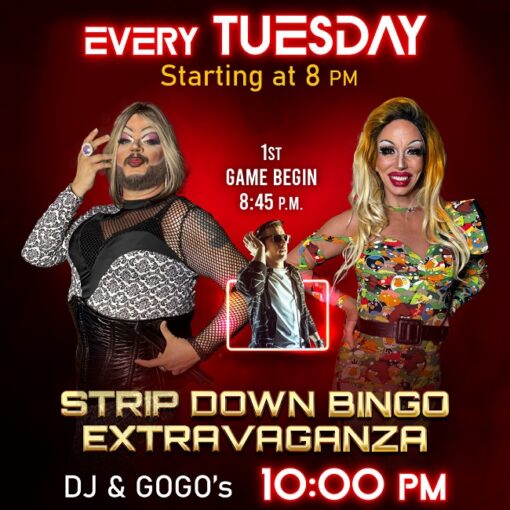 Tuesday Stripped Down Bingo At Studs