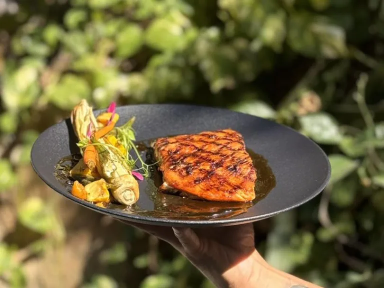 433966529 920680013392249 2269136363601437636 n 768x576