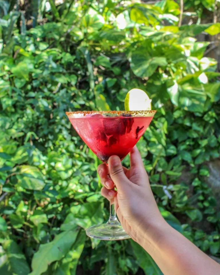 447229559 18332988622192536 2105602326706556208 n 768x960