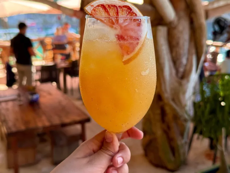 448810064 18334747474192536 2713805530440290672 n 768x579