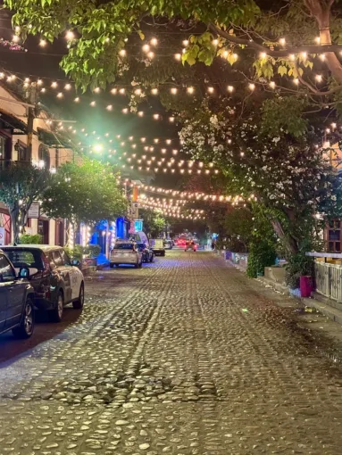 Seeing Things On Basilio Badillo