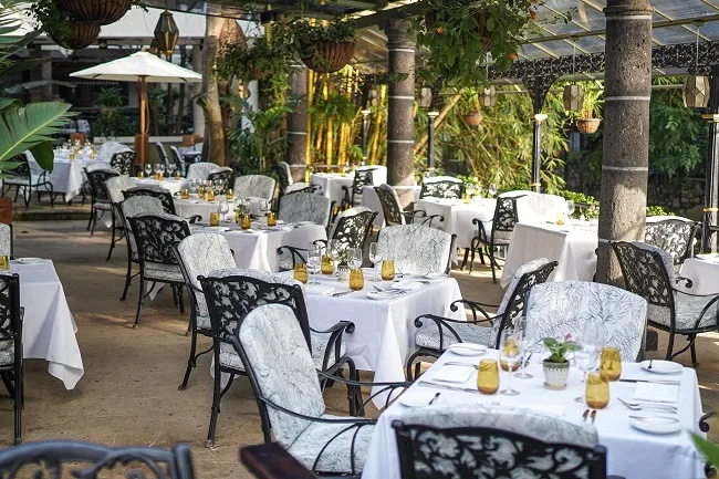 Grupo La Palapa Opens Le Bistro Cafe