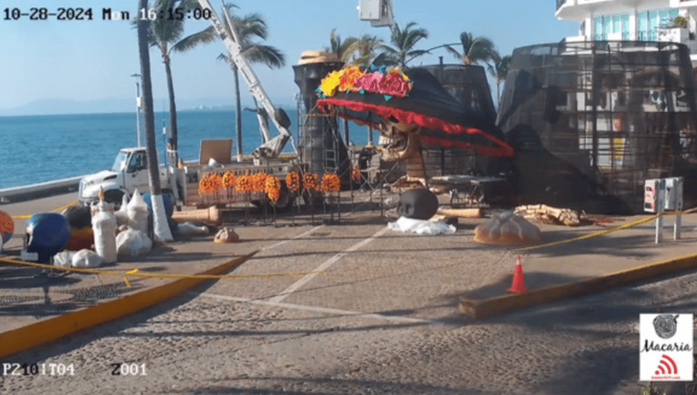 Live Cams by Insider WiFi