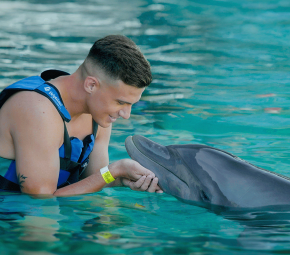 Puerto Vallarta Dolphin Shows Banned Under New Mexico Law