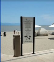 crocodiles in puerto vallarta