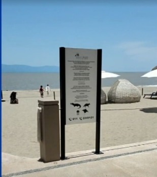 crocodiles in puerto vallarta