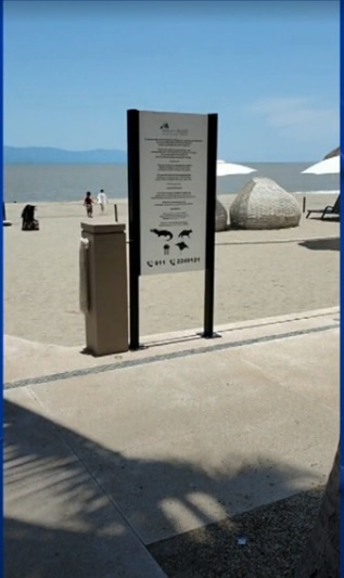 Crocodiles in Puerto Vallarta 