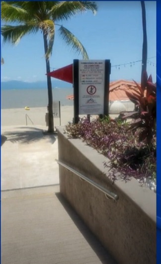 Crocodiles in Puerto Vallarta 