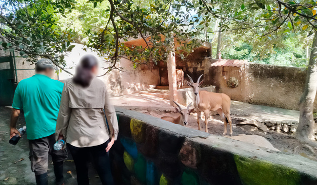 Profepa Says Good Conditions at Puerto Vallarta Zoo