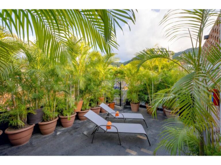 Hotel Pinata 5 768x576