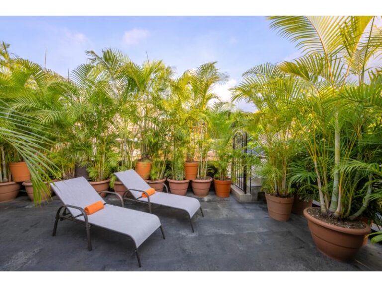 Hotel Pinata 6 768x576